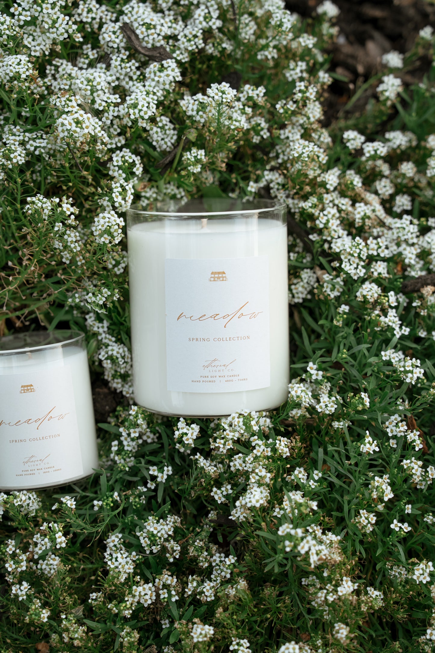 Spring Collection   -   Meadow  -   Wildflower Breeze Candle